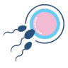 IVF surrogacy legal requirements for nationality